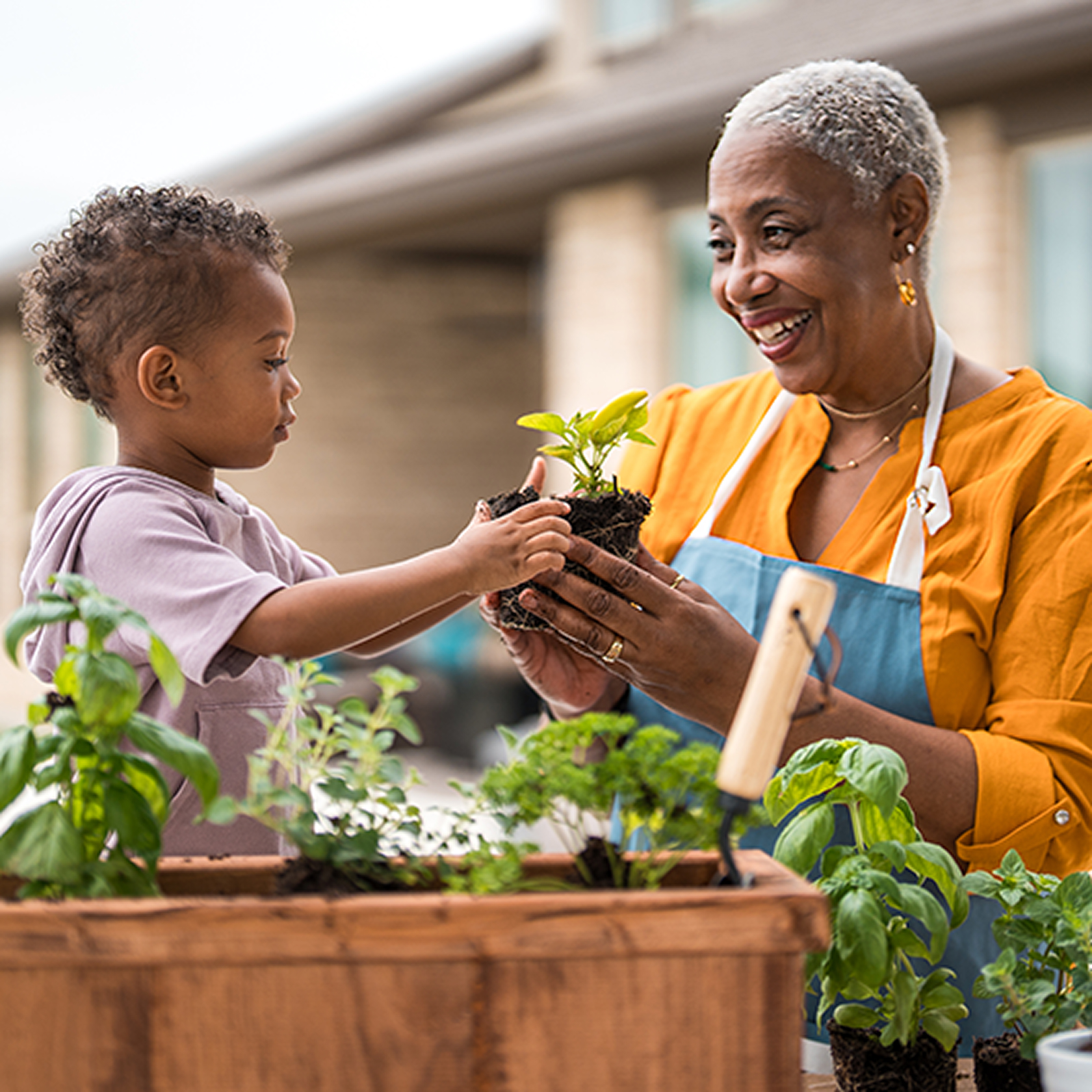 Woman and grandchild planting herbs in a garden representing investment and growth.