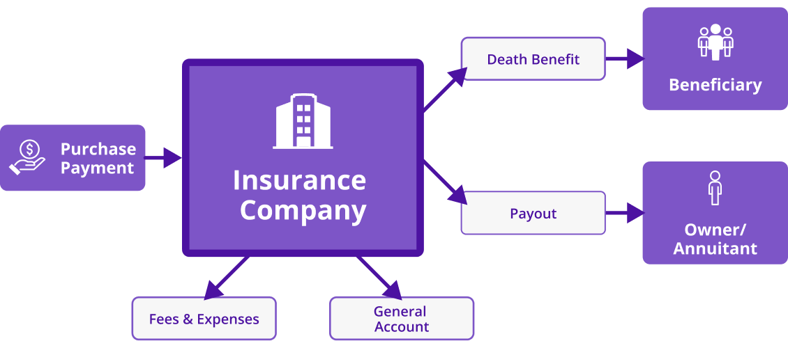  A chart explaining how a fixed annuities work. 