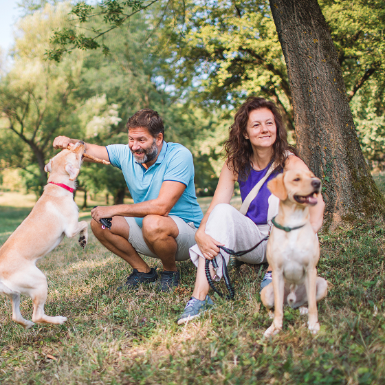 A couple enjoys a park with their two dogs.